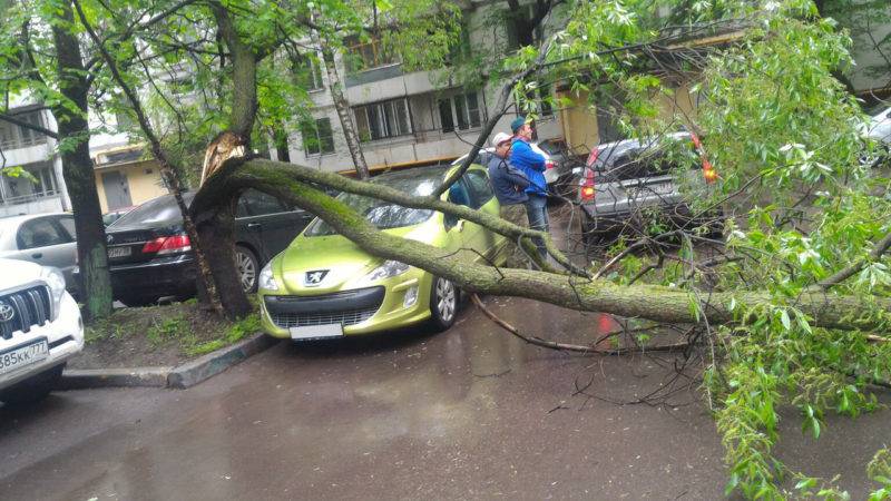 Если на автомобиль упало дерево или любой другой предмет, когда вы ехали на машине, то необходимо звонить в ГИБДД.