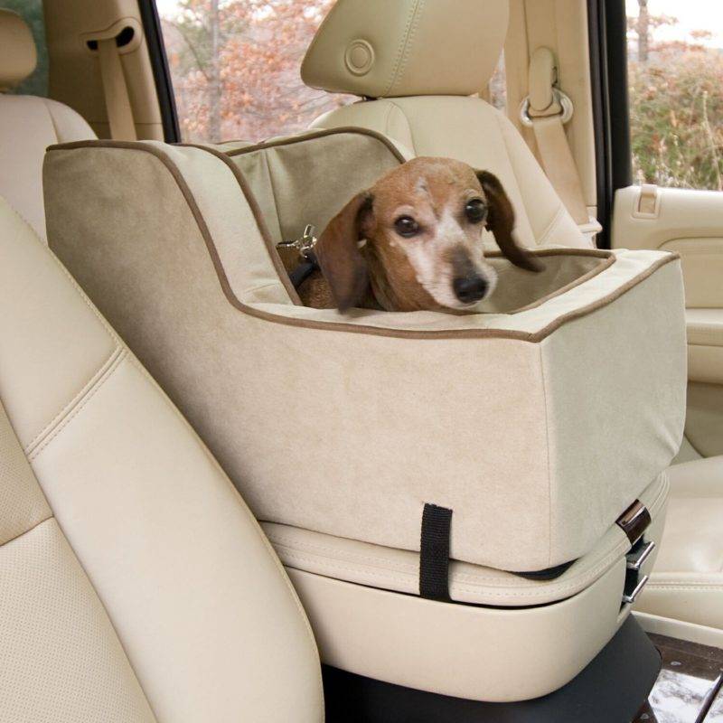 Наилучшим вариантом транспортировки животных являются автокресла, которые обеспечивают безопасность и комфорт во время путешествий.