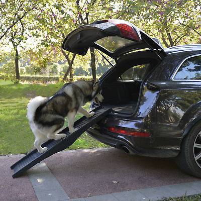 Как быть если собака не умеет запрыгивать в багажник?